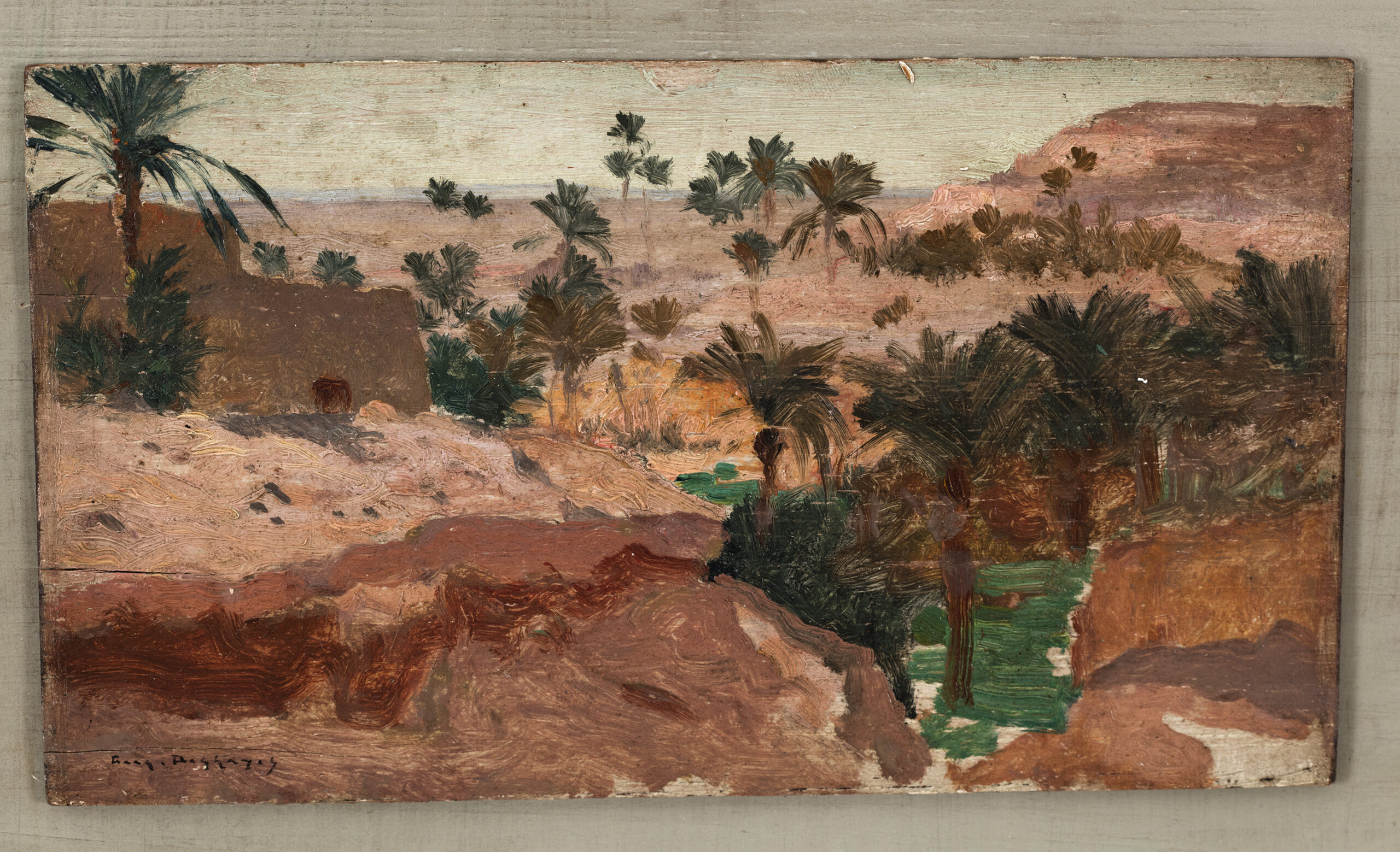 Oasis Study