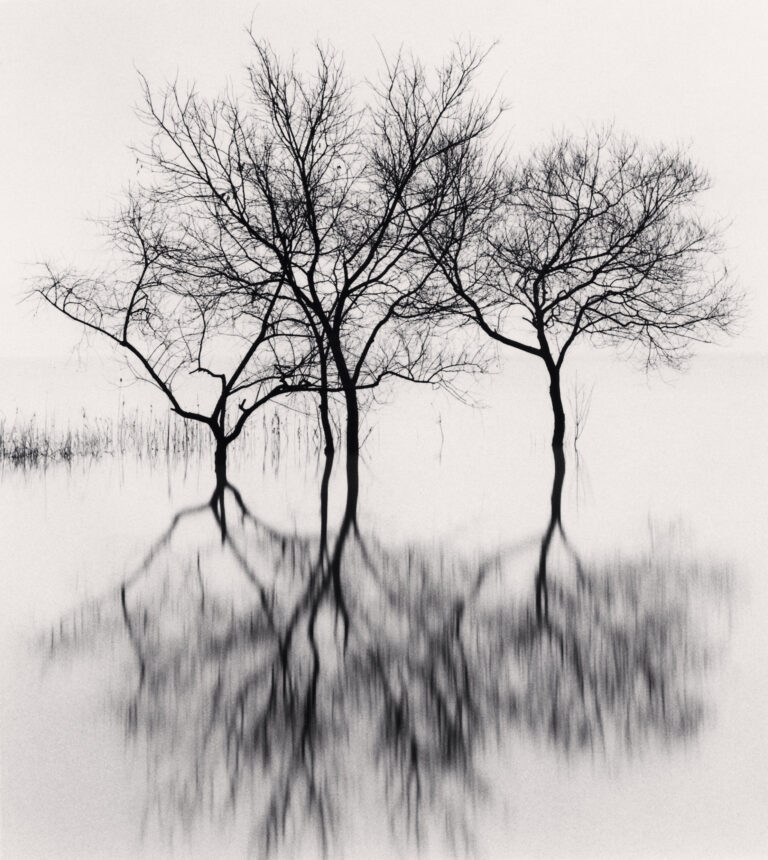 Contented Trees