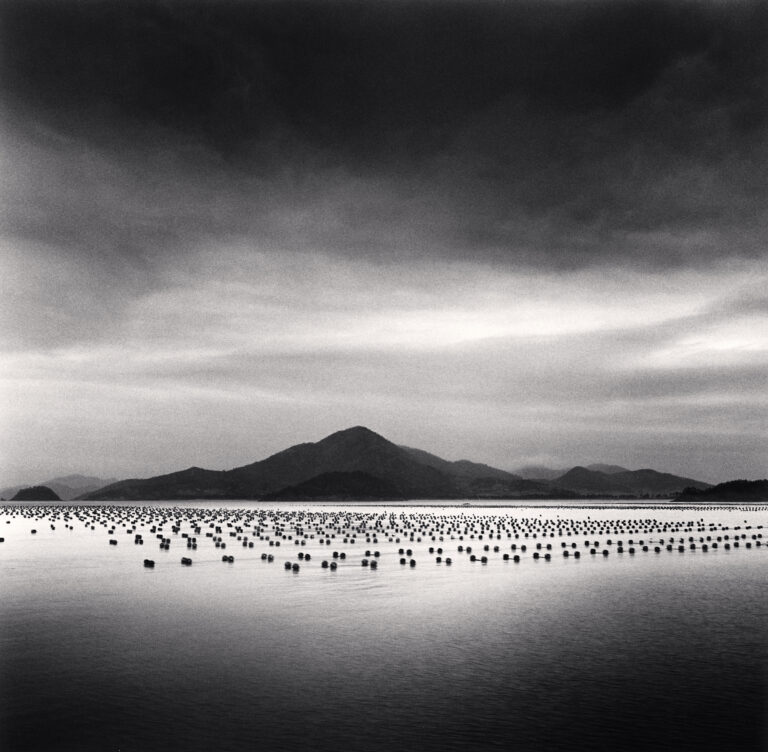 Lines of Seaweed