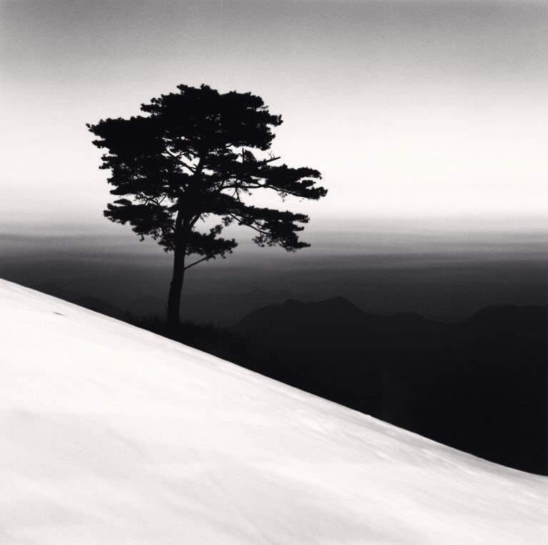 Mountain Tree, Study 1