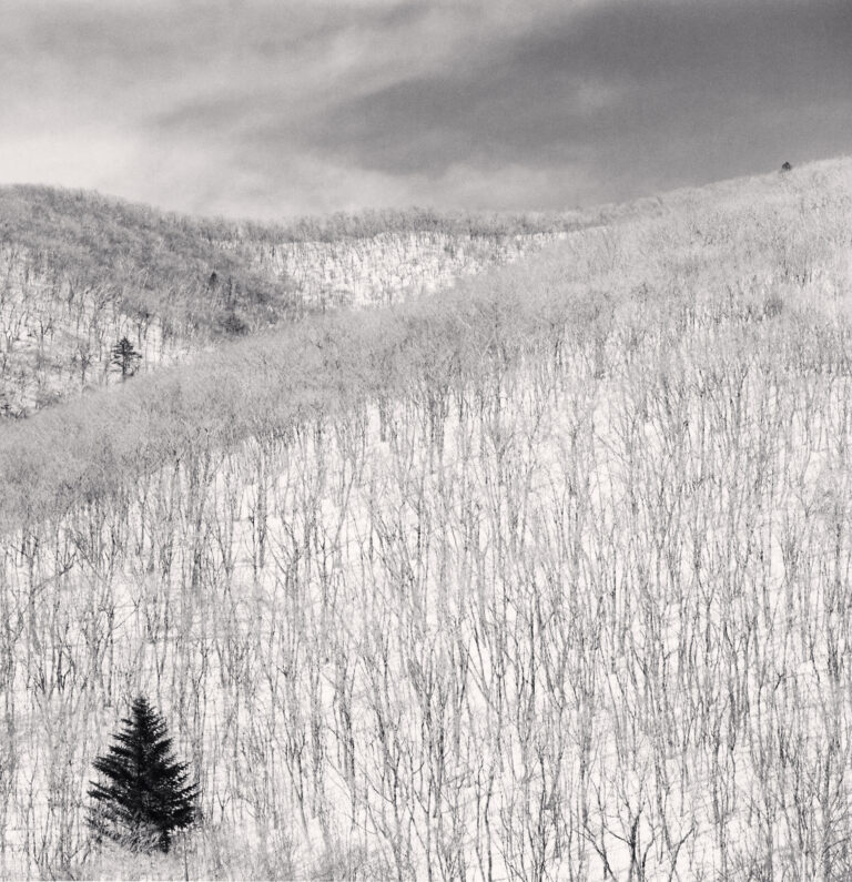 Snow Covered Hillside